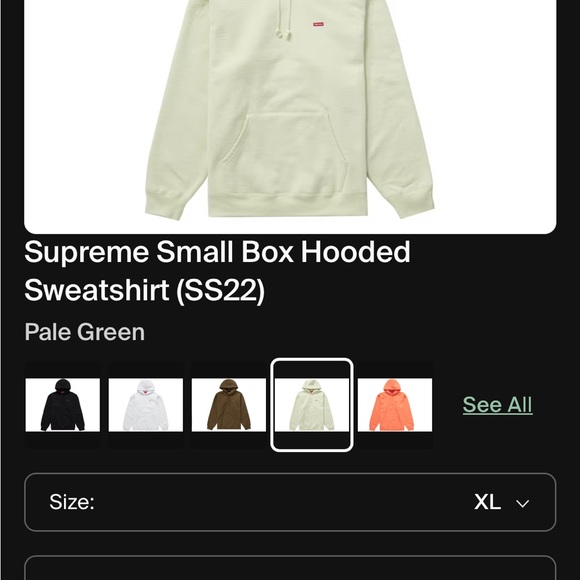 Supreme Pale Green Hoodie - Picture 7 of 7